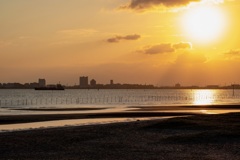 三番瀬の夕陽4