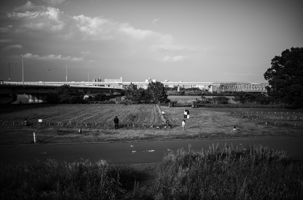 河川敷散歩-5