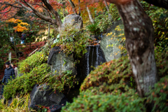 冬の鎌倉、散歩道。〜14