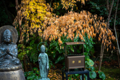 冬の鎌倉、散歩道。〜5