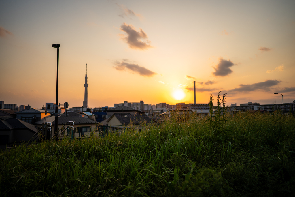 東京荒川土手夕景〜2