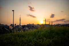 東京荒川土手夕景〜2