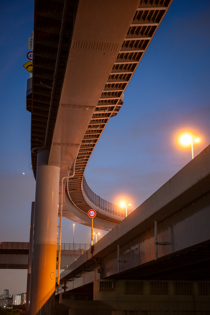いつもの散歩道〜7