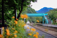 小湊鐵道にて1