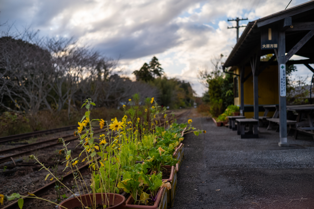 がんばれ、いすみ鉄道〜6