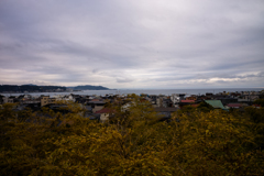 冬の鎌倉、散歩道。〜20