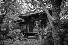 鎌倉散歩24