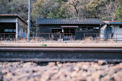 わたらせ渓谷鐵道2020秋10