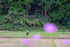 小湊鐵道の秋5