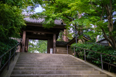 鎌倉散歩2