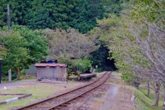 小湊鐵道の秋1