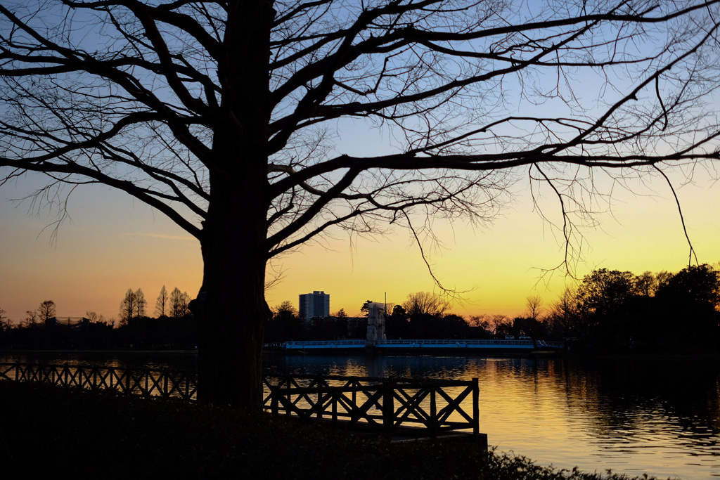 夕焼けと公園の風景9