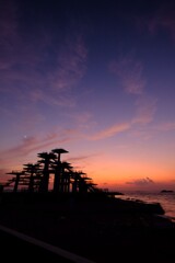 富津岬にて1