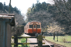 春列車〜1