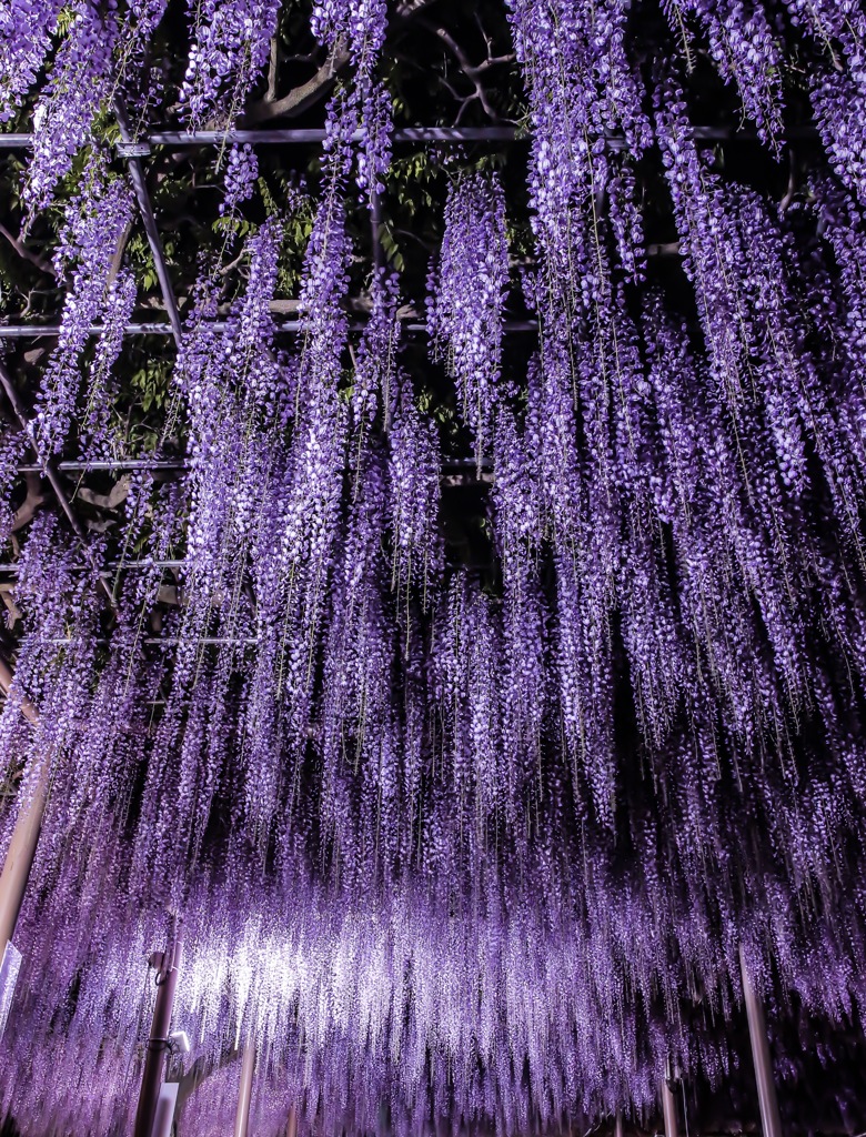 曼陀羅寺