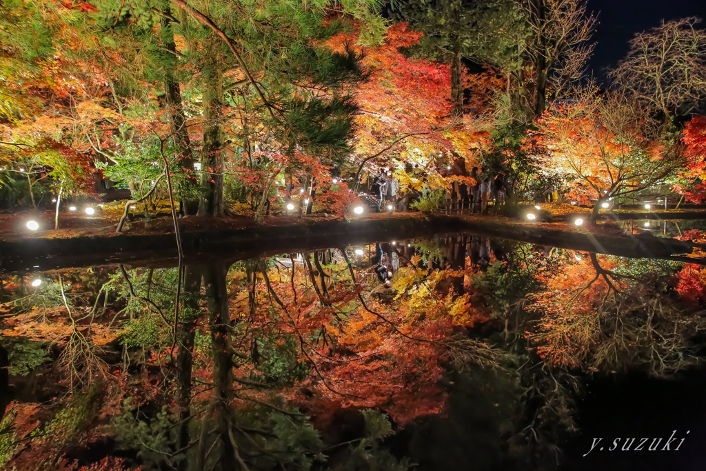 鏡面紅葉