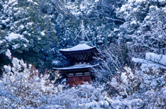 雪の永観堂
