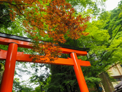 貴船神社でパシャリ