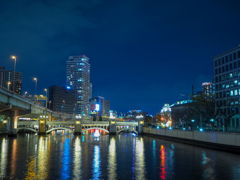 難波橋から中之島を望む