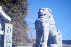 白髭神社の狛犬