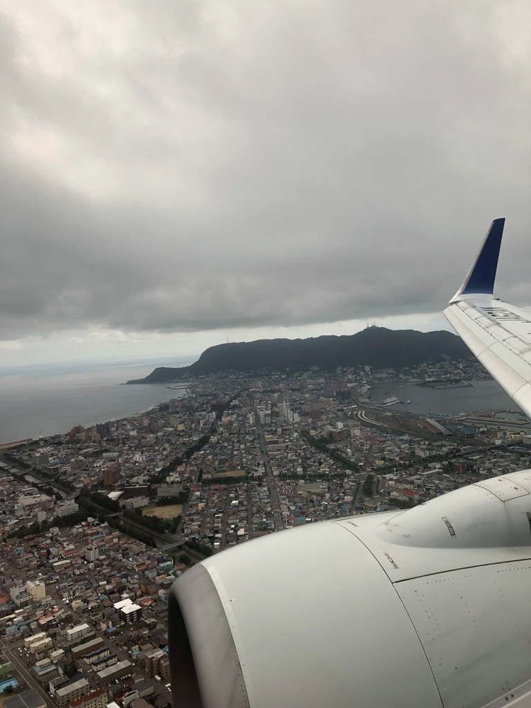 着陸直前の飛行機から函館山を望む