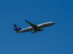 ANA B737-800　東北FLOWER JET