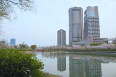 毛馬桜ノ宮公園③