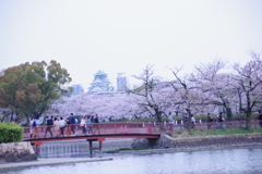 毛馬桜ノ宮公園②