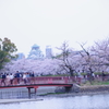 毛馬桜ノ宮公園②