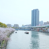 毛馬桜ノ宮公園①