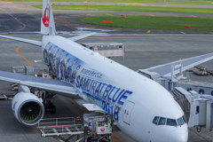 新千歳空港③