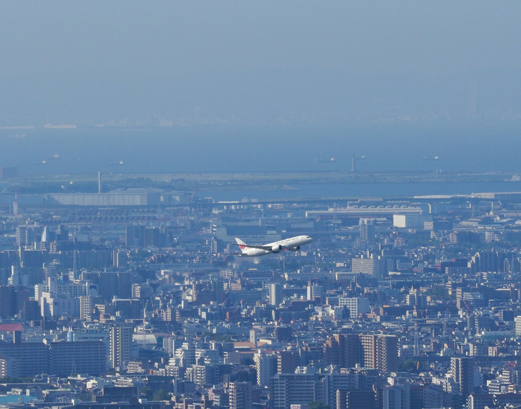 五月山からの大阪空港③JAL B787-8