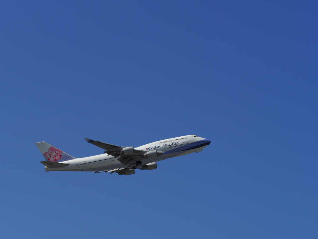 台風一過の那覇空港④