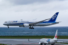 那覇空港⑨　ANA787