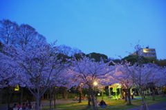 毛馬桜ノ宮公園④