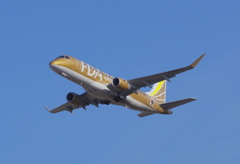 県営名古屋空港_ＦＤＡゴールド