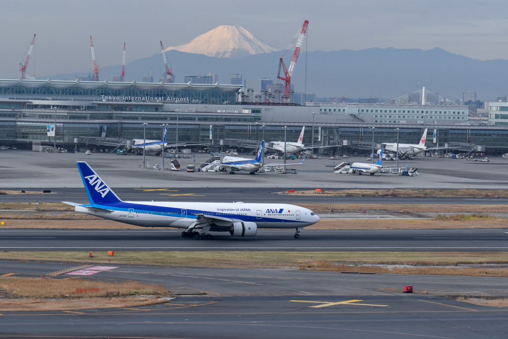 3回目の羽田空港①