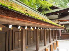 京都　河合神社にて