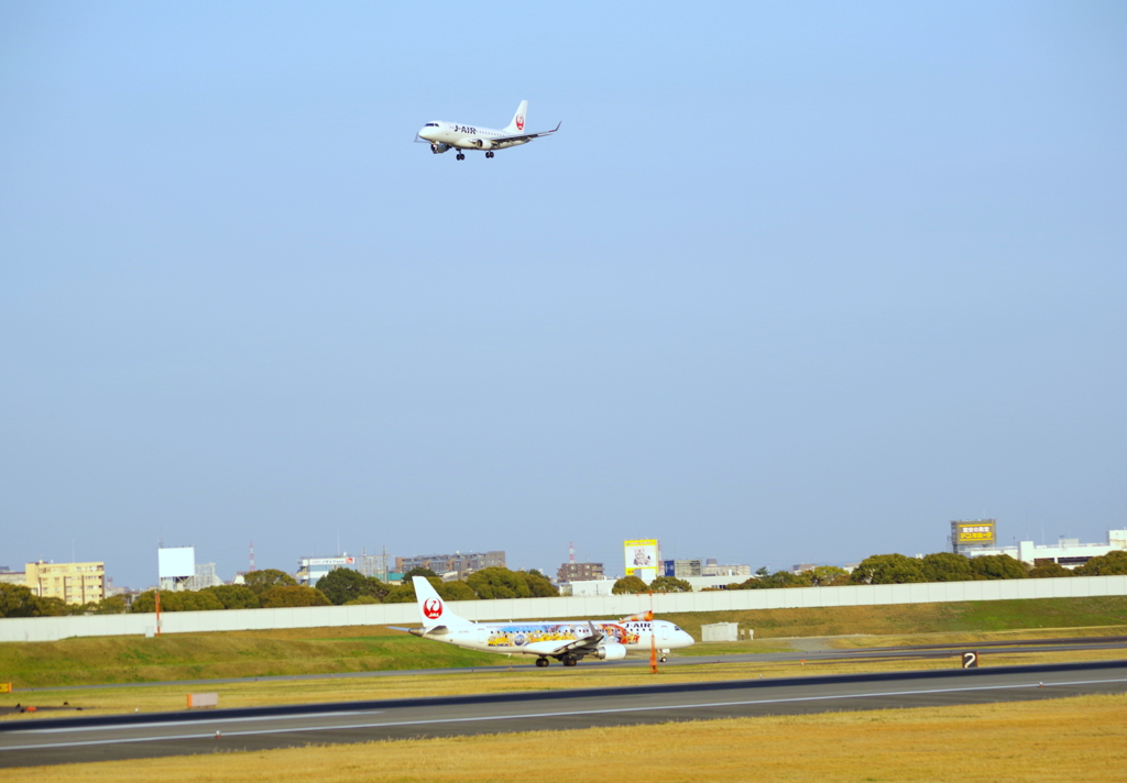 伊丹空港②伊丹スカイパーク