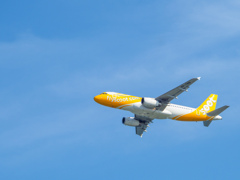 関西空港①　SCOOT