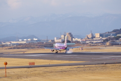 県営名古屋空港‗ＦＤＡ紫着陸