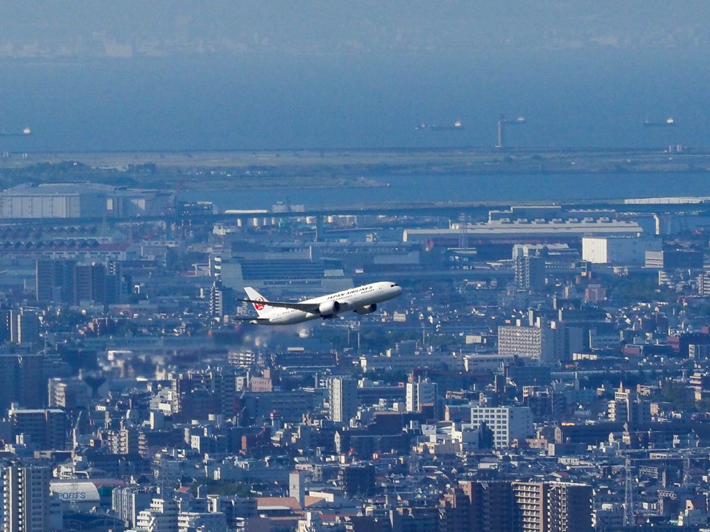 五月山からの大阪空港②JAL B787-8