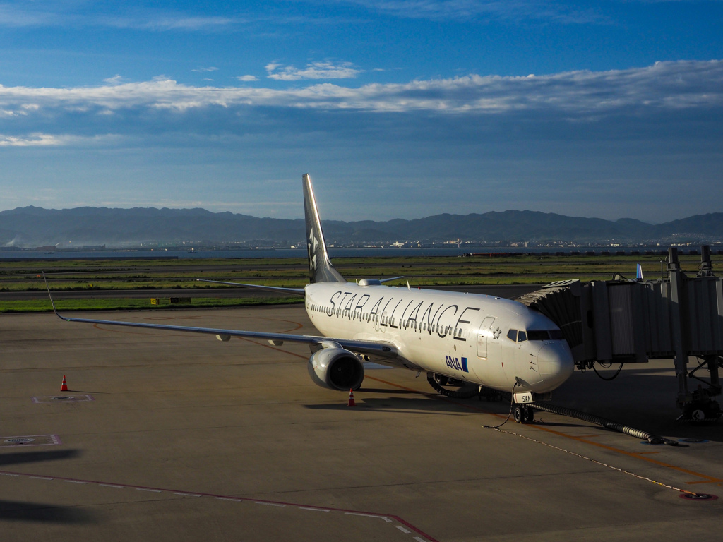 本日の搭乗便＠関西国際空港　B737