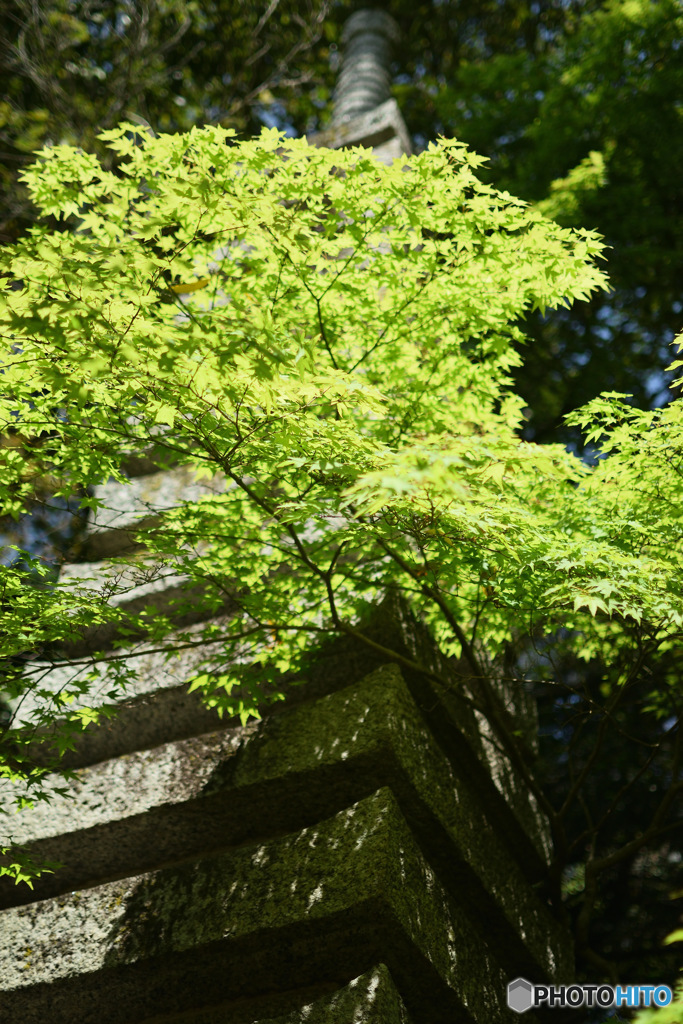 十三層石塔_秋篠寺