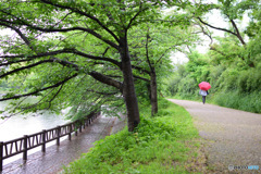 雨の中