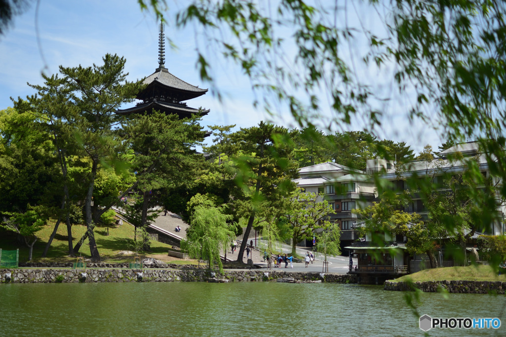 奈良公園に入るにあたって