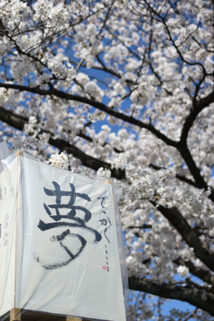 4月からの新しい夢に向けて