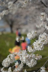 カラフルな服装_春の装い