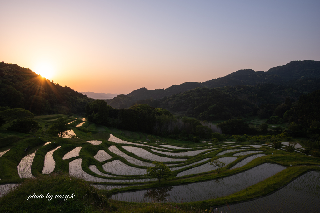 東雲の棚田