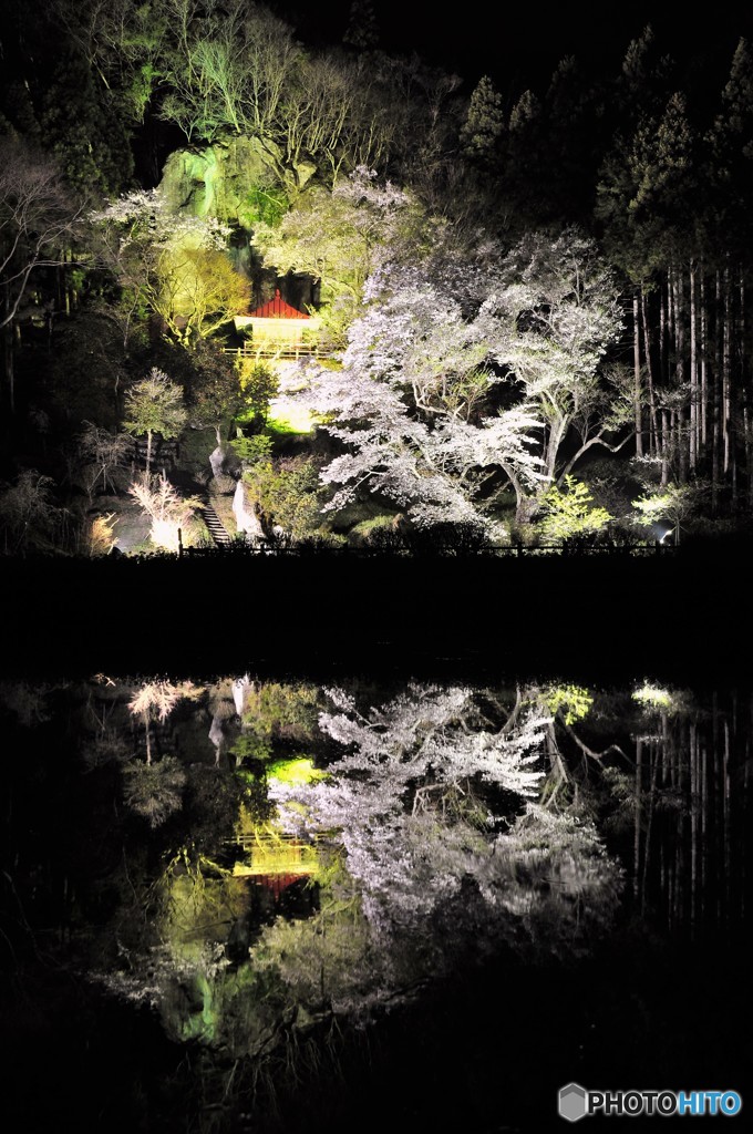 お堂と山桜